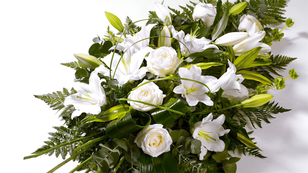 Servicios funerarios en la provincia de Cádiz Servicios funerarios en la provincia de Cádiz