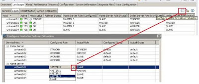 How to Define Role to different Server Nodes in Multi Node HANA System