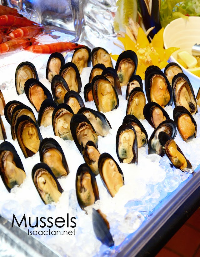 Mussels for the seafood lover in you