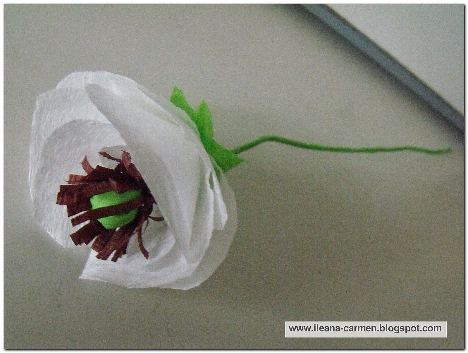hobbies TUTORIAL Poppies from Crepe Paper
