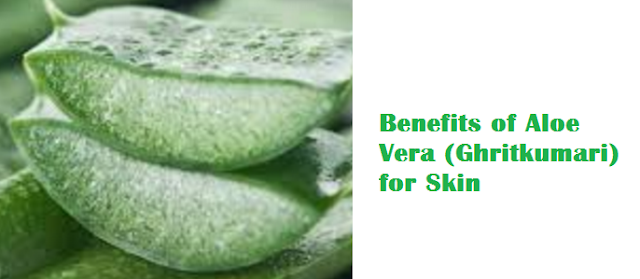Benefits of Aloe Vera (Ghritkumari) for Skin Benefits of Aloe Vera (Ghritkumari) for Skin