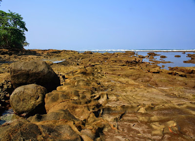 Pantai Karapyak yang Masih Perawan Pantai Karapyak yang Masih Perawan