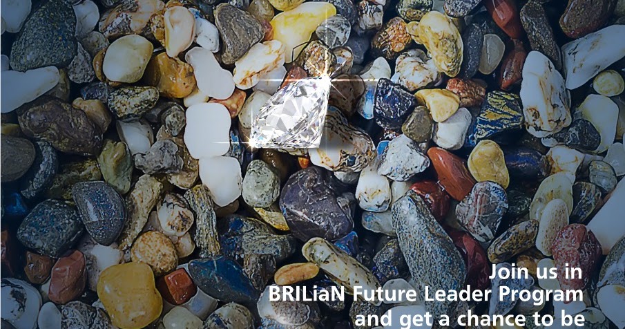 Loker Terbaru Bank Rakyat Indonesia (BRI) Hari Ini Iklan