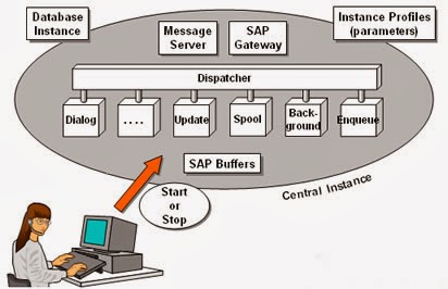 SAP Basis Drive