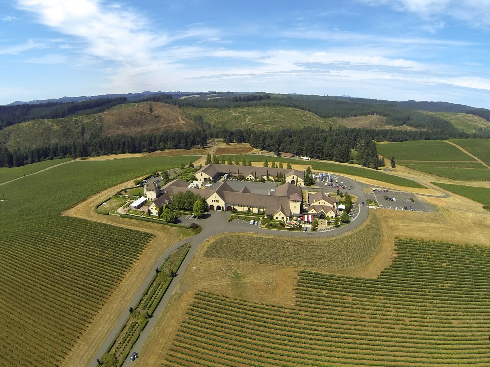 Spot On Aerial Photography Eugene