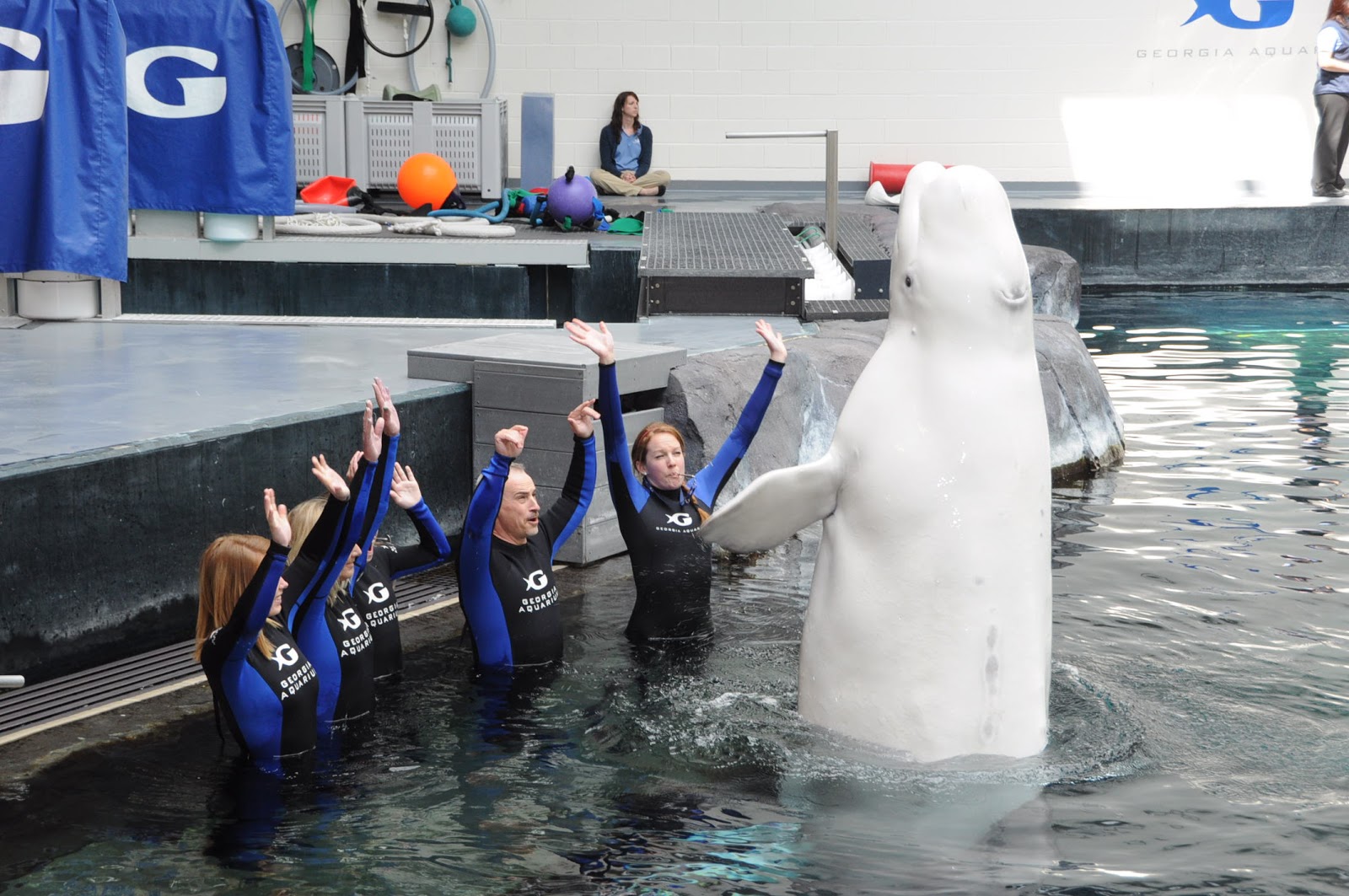 Aquarium Internship 28 Days Left!