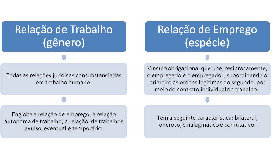 Modus Operandi by Levi Freire Jr