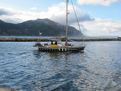 Image result for taffy bowen hout bay image