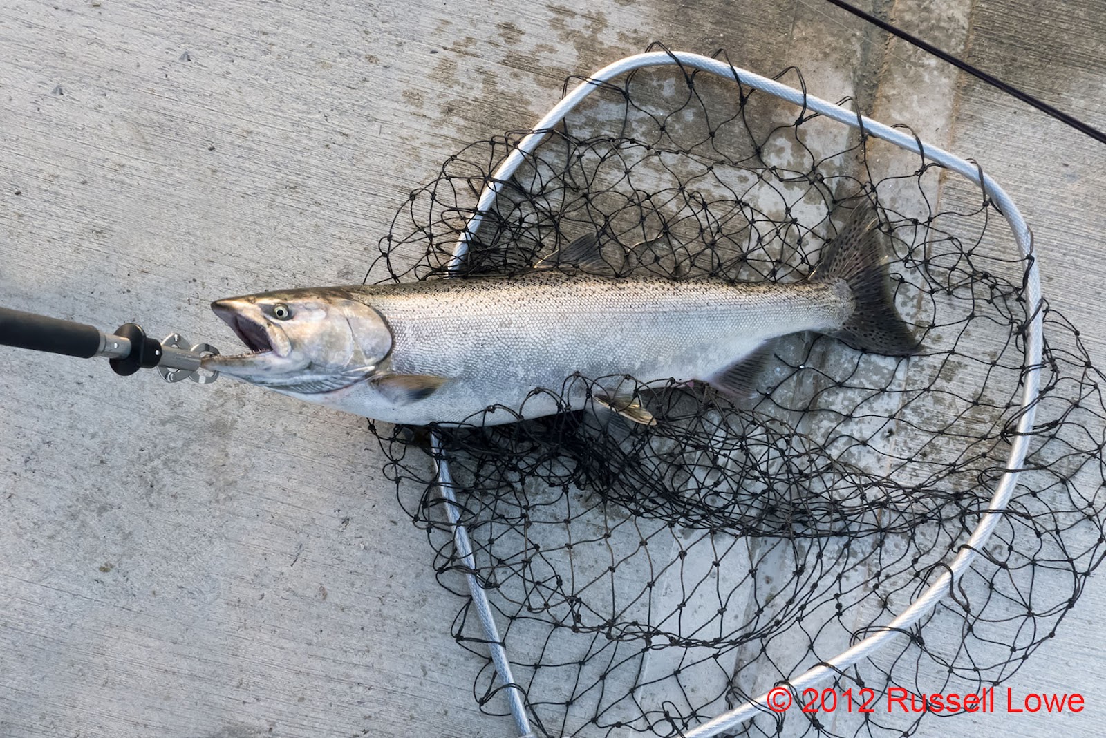 "The Way I See It" Fishing at Racine Harbor Racine, Wisconsin