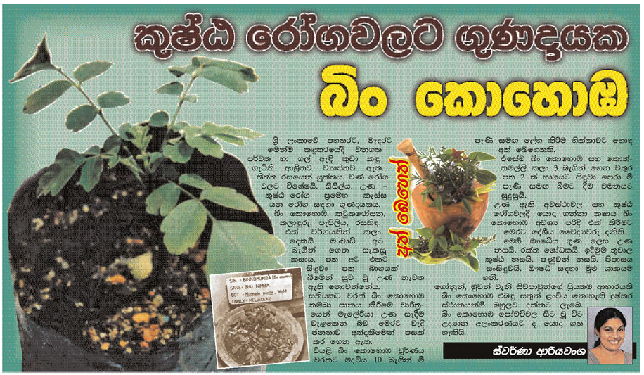 Medicinal Plants Binkohomba