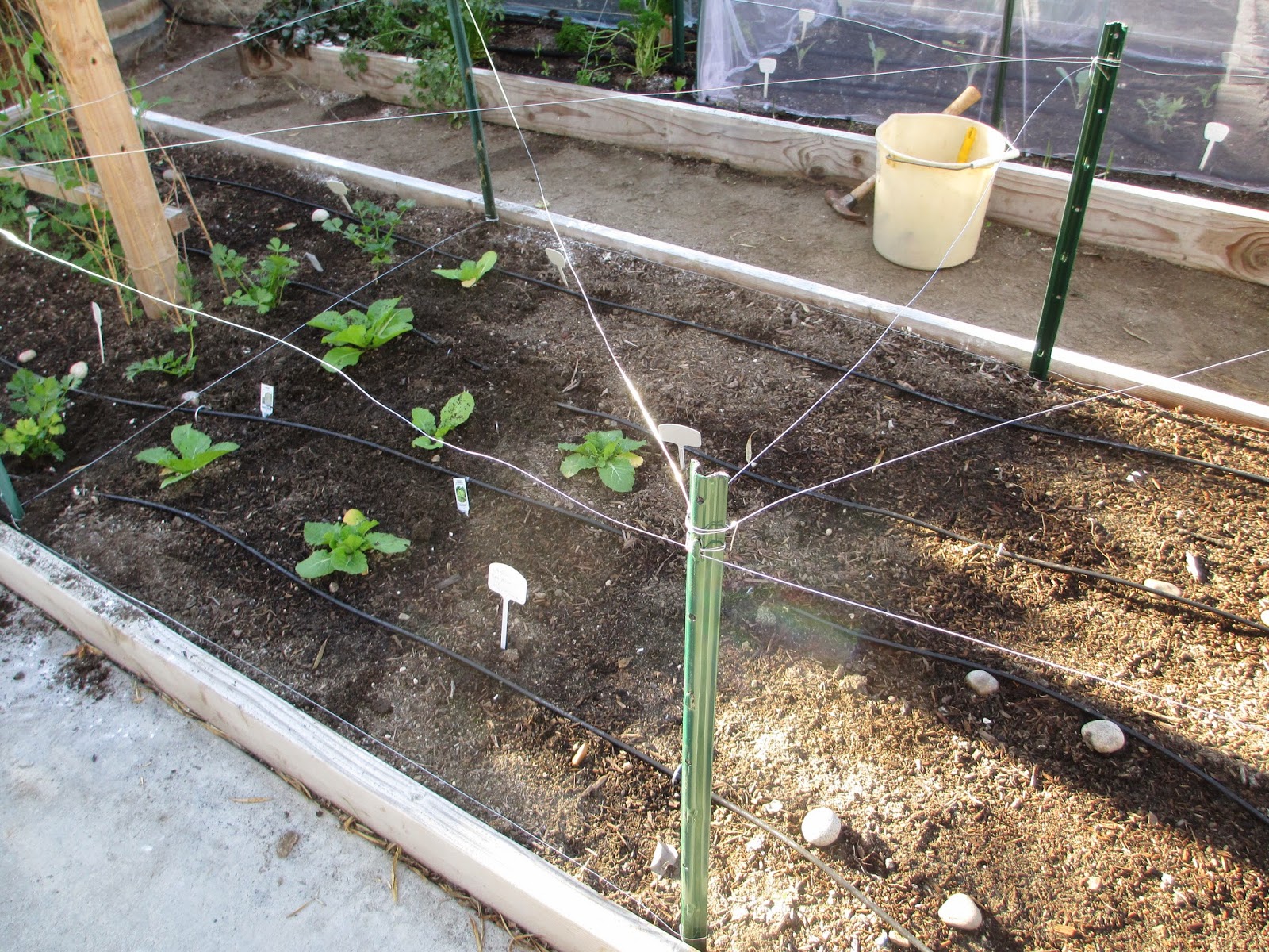 Andie's Way: Making Bigger Cabbage Row Covers