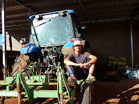 Lavorare nelle farm in Australia