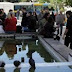 ΕΛΣΤΑΤ: Στο 23,2% η ανεργία τον Φεβρουάριο