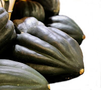 can bearded dragons eat acorn squash?