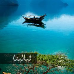 صور جميلة 2020 , اجمل صور حلوه لعام 2020 , صور رائعة جديدة صور جميلة 2020 , اجمل صور حلوه لعام 2020 , صور رائعة جديدة