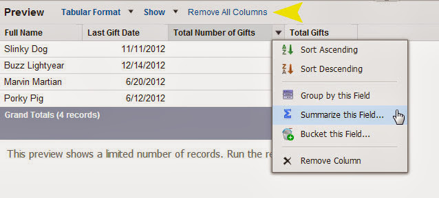 reporting in salesforce.com reporting in salesforce.com