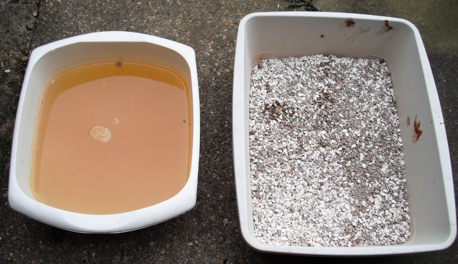 Love my life Relocating worms