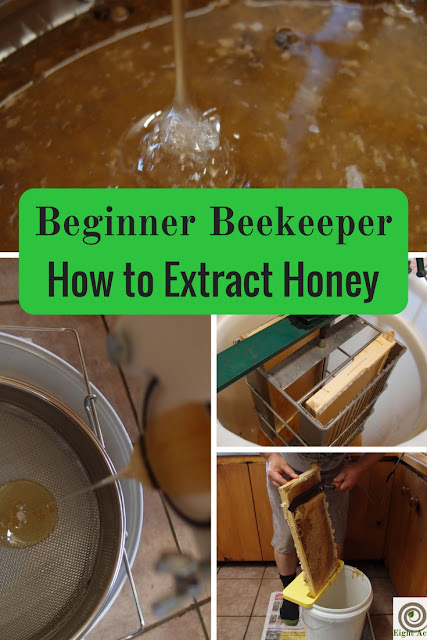 Eight Acres: Getting started with beekeeping - how to extract honey