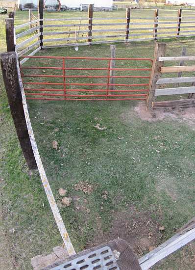 Life among the Tall Pines: Loading corral fence done