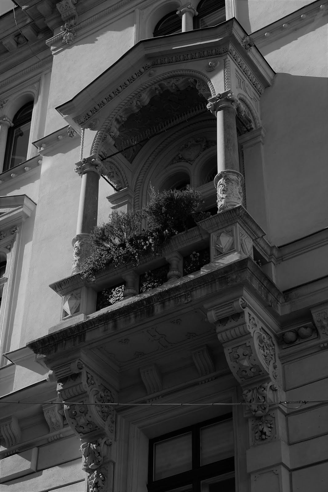 Personal Project- Black and White photos