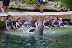 Tulum, travel guide, what to do in Tulum, swimming with dolphins, Xel-Ha, Wildflower Tours