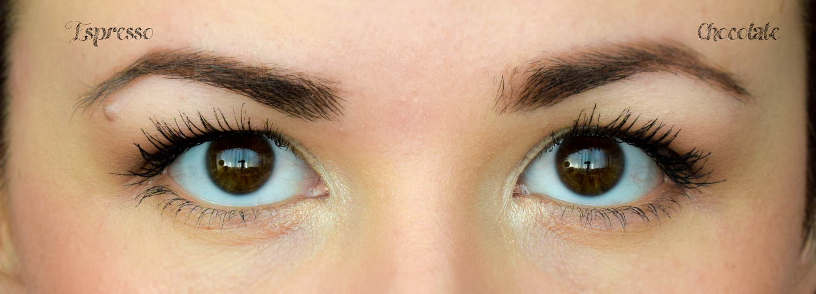 Alice's Beauty Madness: NYX Tame&Frame is a dupe for Anastasia Bevely ... Alice's Beauty Madness: NYX Tame&Frame is a dupe for Anastasia Bevely ...