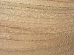 texture vinier texture vinier jati