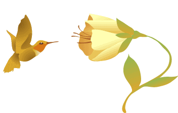 img-beija-flor.gif