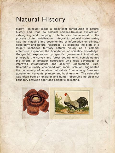 natural history
