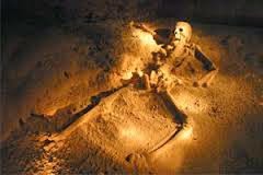 7-Day Placencia Activities Guide — Best Vacation Ever! 16 Remaxvipbelize : camera on a skull