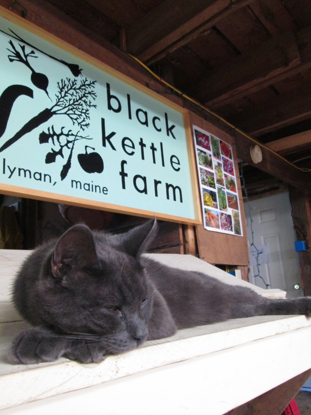 black kettle farm Staff