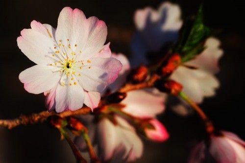 Fine Art Nature Photography Fine Art Nature Photography
