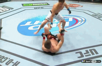 Sam+Stout+Submits+Referee+-+TUF+Nations+