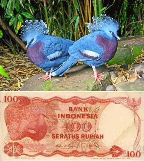 uang kertas indonesia 100 rupiah uang kertas indonesia 100 rupiah