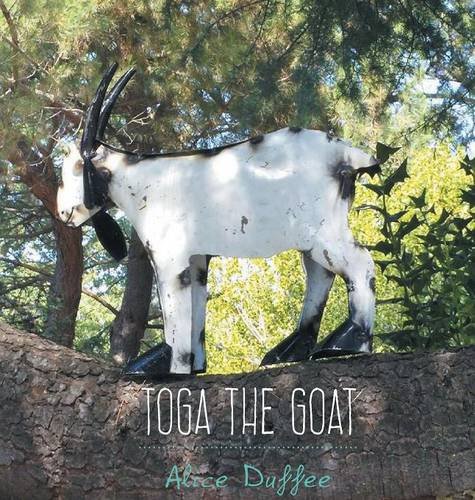 "Toga the Goat"
