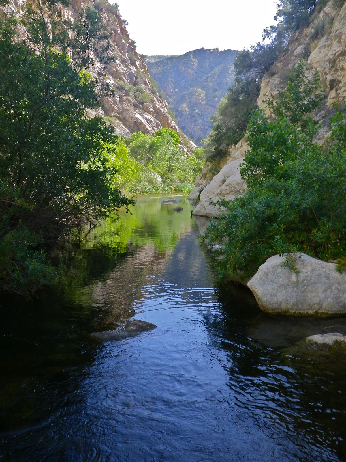 David Stillman Piru Creek, from Pyramid Lake to Lake Piru, 05/19&20/2012
