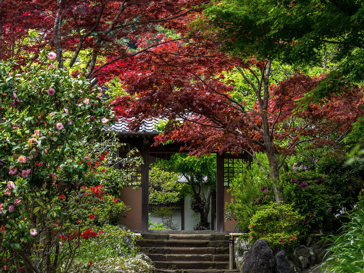 FROM THE GARDEN OF ZEN Garden gate Kaizoji