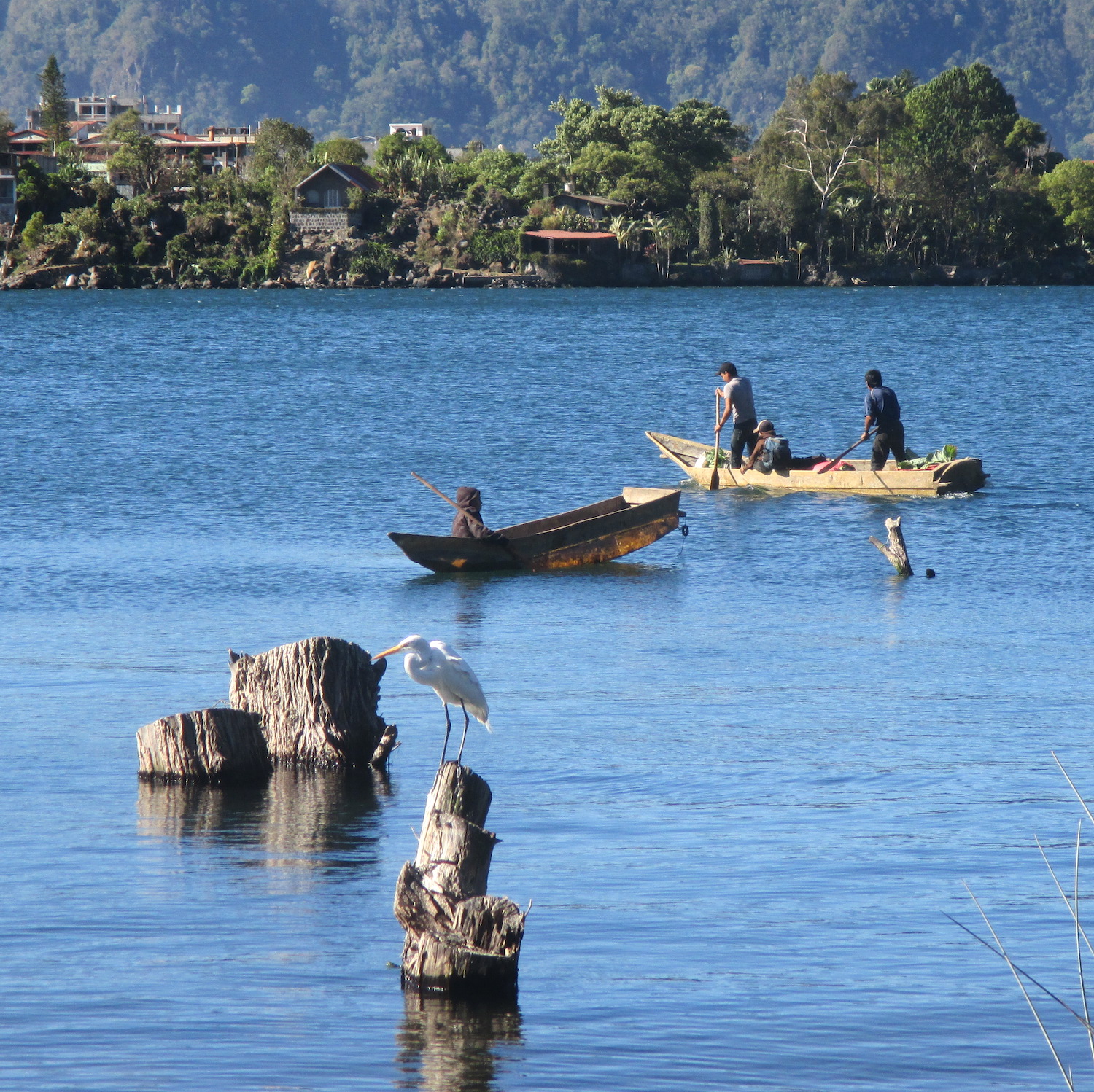 Gardens at Waters East Guatemala Eternal Spring 3