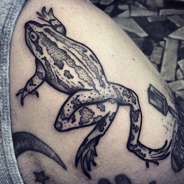 tatuagens de sapos tatuagens de sapos