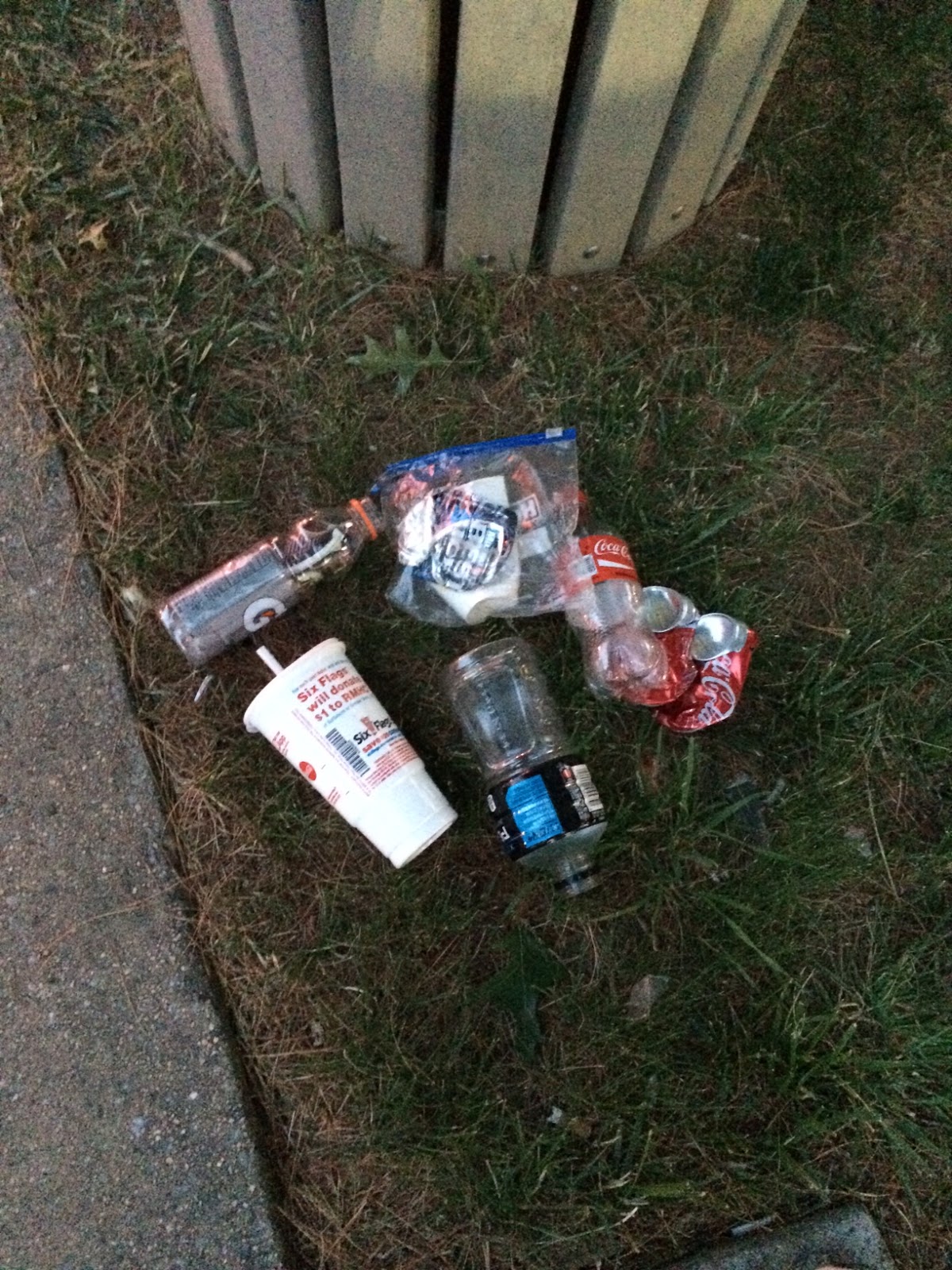 Maryland Lakes Trash Pickup in the Neighborhood