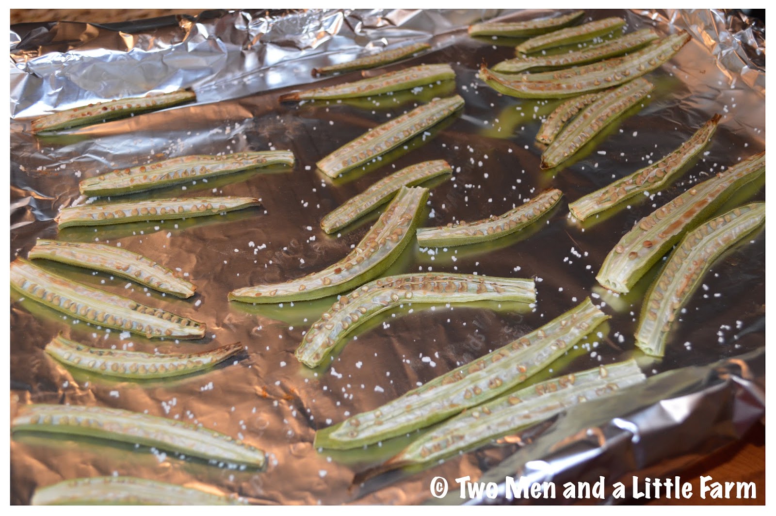 Two Men and a Little Farm OVEN ROASTED OKRA FRIES RECIPE