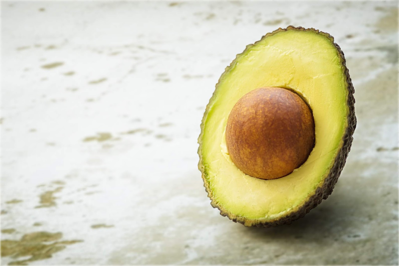 Las plantas y sus usos Beneficios de la palta