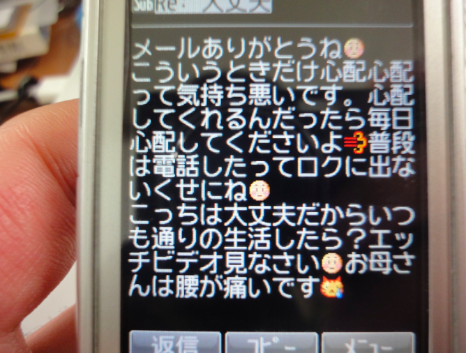 超魅力的な母親のHな画像 19->画像>303枚 