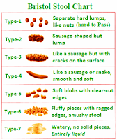 7 Types of Bristol Stool Scale with their Position - Modern Herbalife