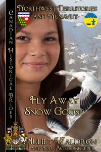 Fly Away Snow Goose (Nıts'ı̀t'ah Golika Xah)