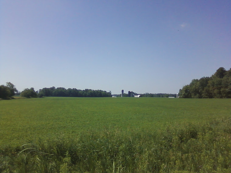 Wisconsin Farmland