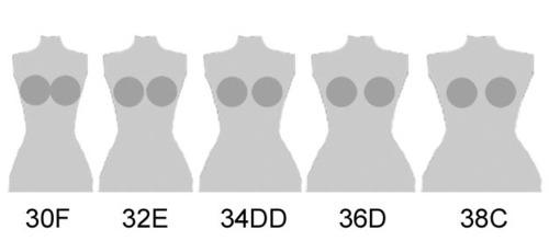 34dd bust size in inches