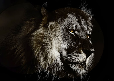 Abstract Lion Wallpaper 1