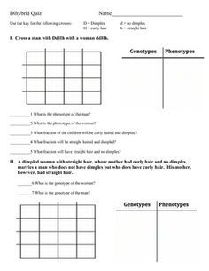 dihybrid cross worksheet