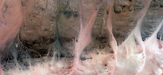 banshees,abstract landscapes of deserts of Africa ,Abstract Naturalism,abstract photography deserts of Africa from the air,abstract surrealism,mirage in desert,,abstract expressionism, rose, white, banshees,abstract landscapes of deserts of Africa ,Abstract Naturalism,abstract photography deserts of Africa from the air,abstract surrealism,mirage in desert,,abstract expressionism, rose, white,